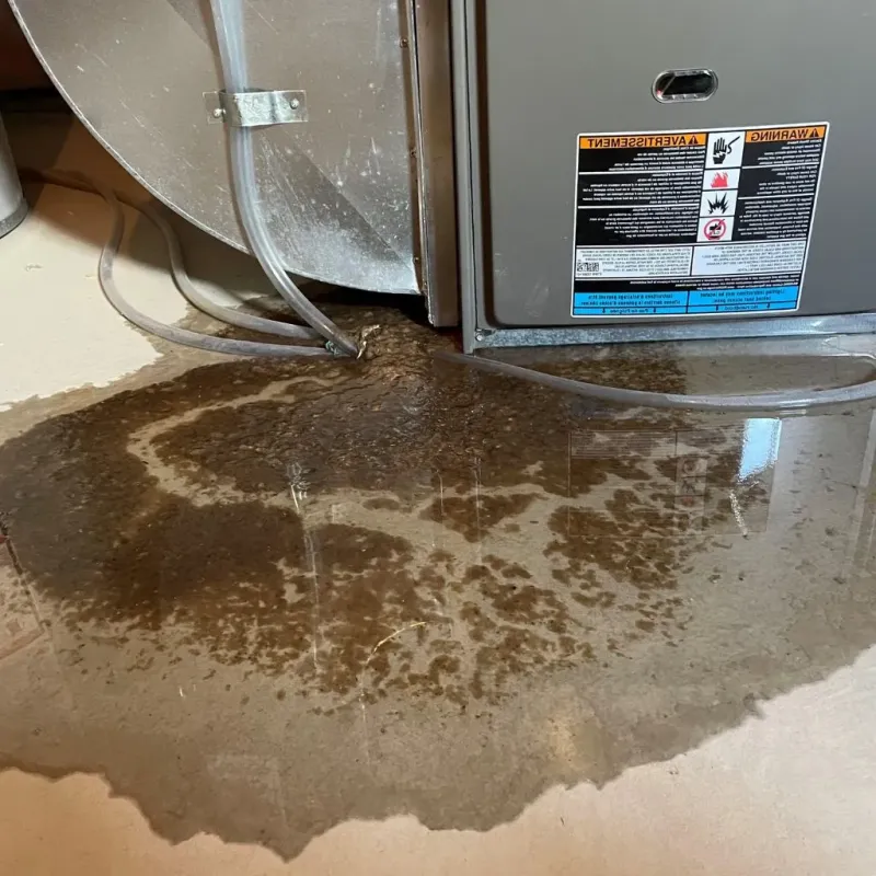Pipe Burst and Leak Restoration in Butler County, KS
