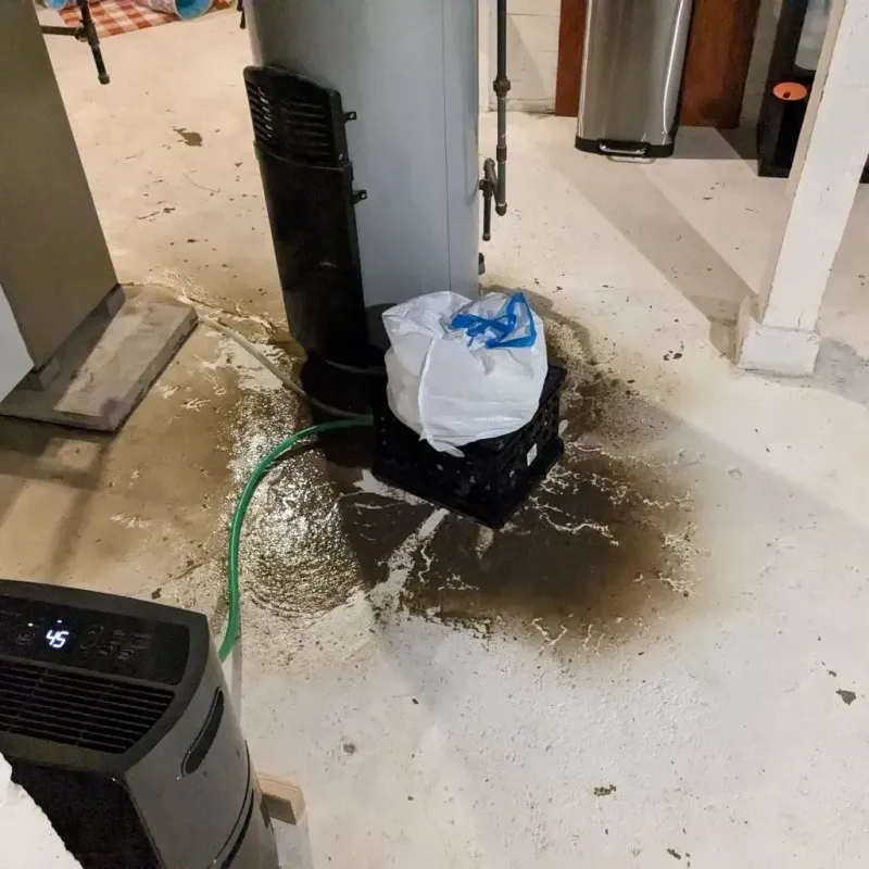 Sewage Backup Cleanup Service in Butler County, KS